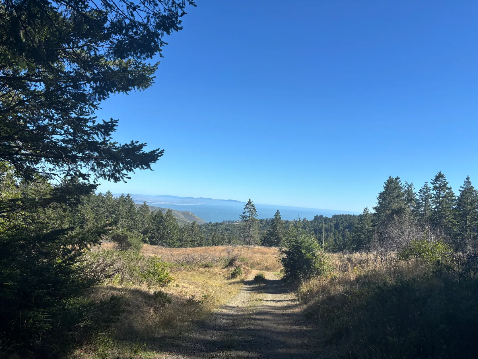 4. Muir Woods