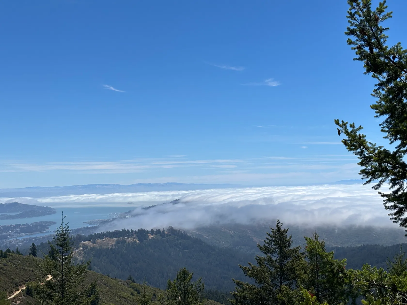 2. Mount Tam with Audrey, Dan, & Arty