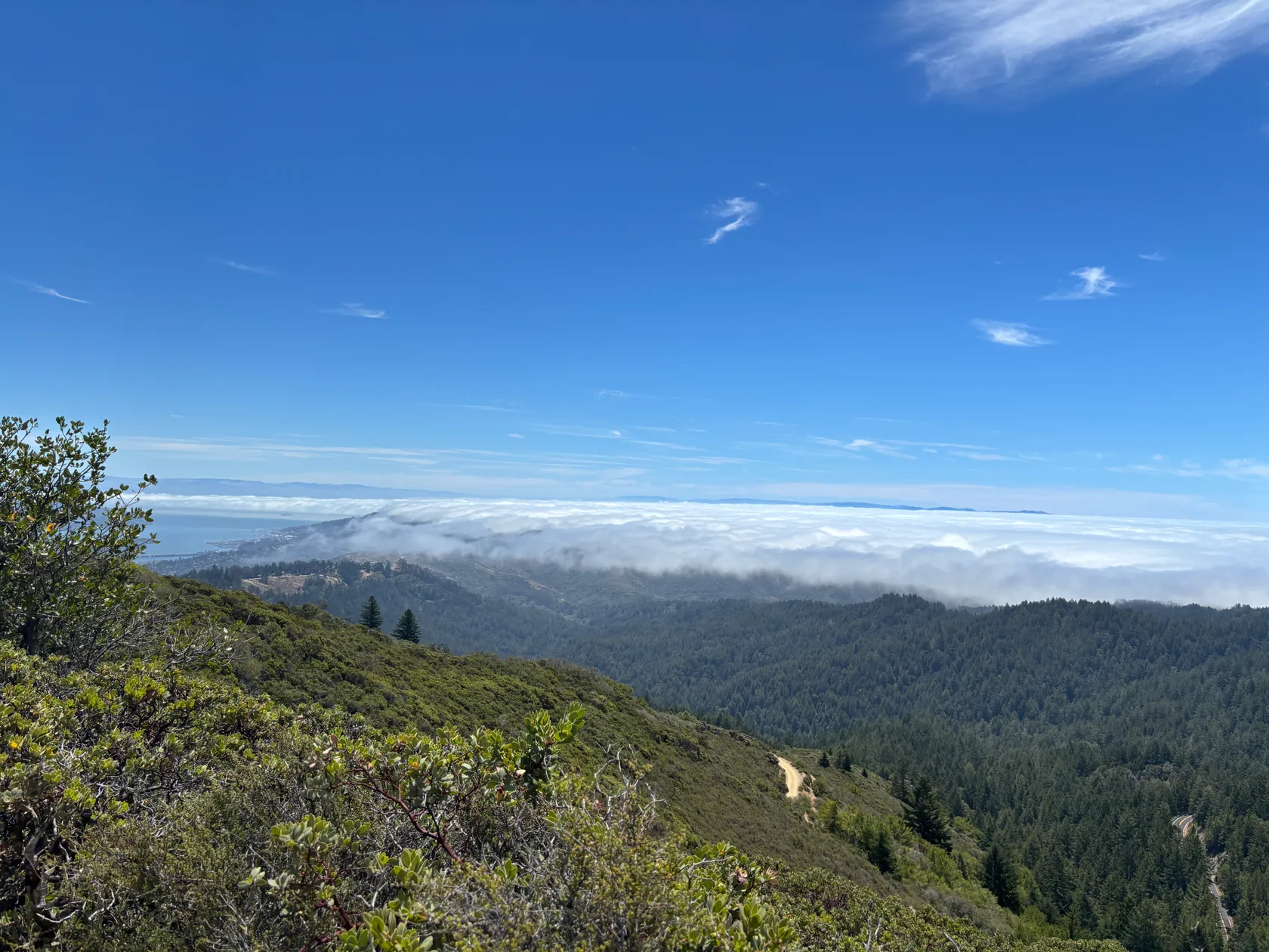 3. Mount Tam with Audrey, & Dan