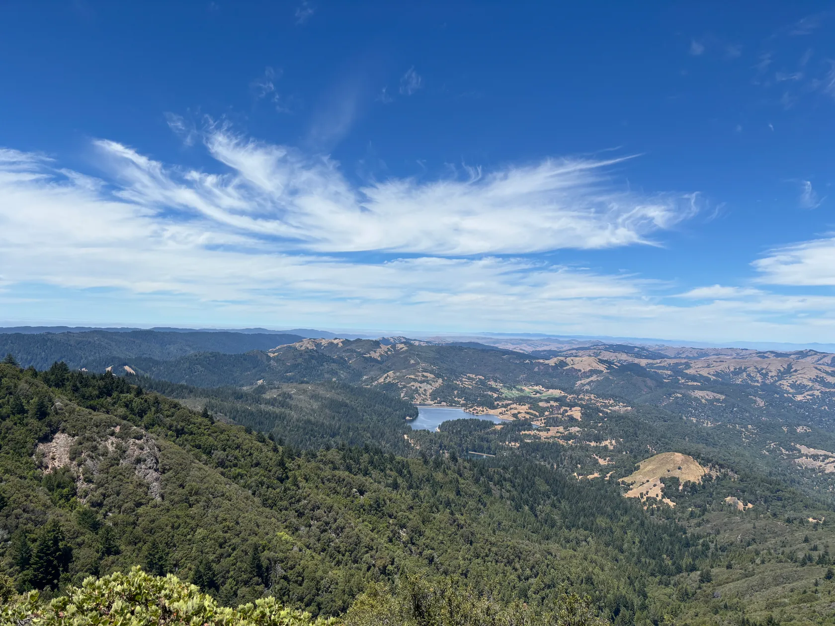 4. Mount Tam with Audrey, Dan, & Arty