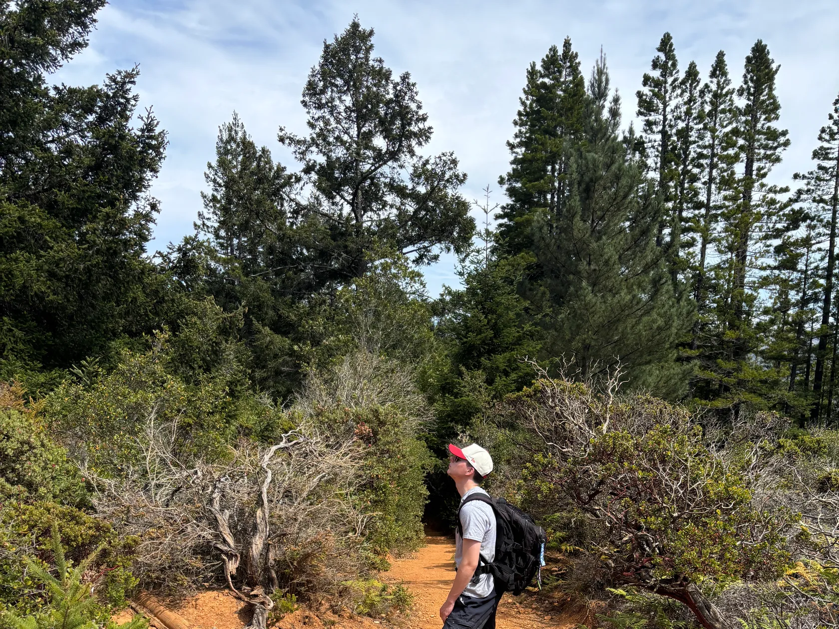 5. Mount Tam with Audrey, Dan, & Arty